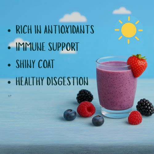 Mixed Berry Smoothie